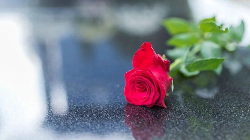    Фото: Dragana Gordic/Shutterstock/Fotodom