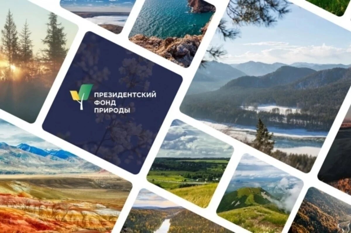    Камчатцев пригласили принять участие в конкурсе экологических проектов