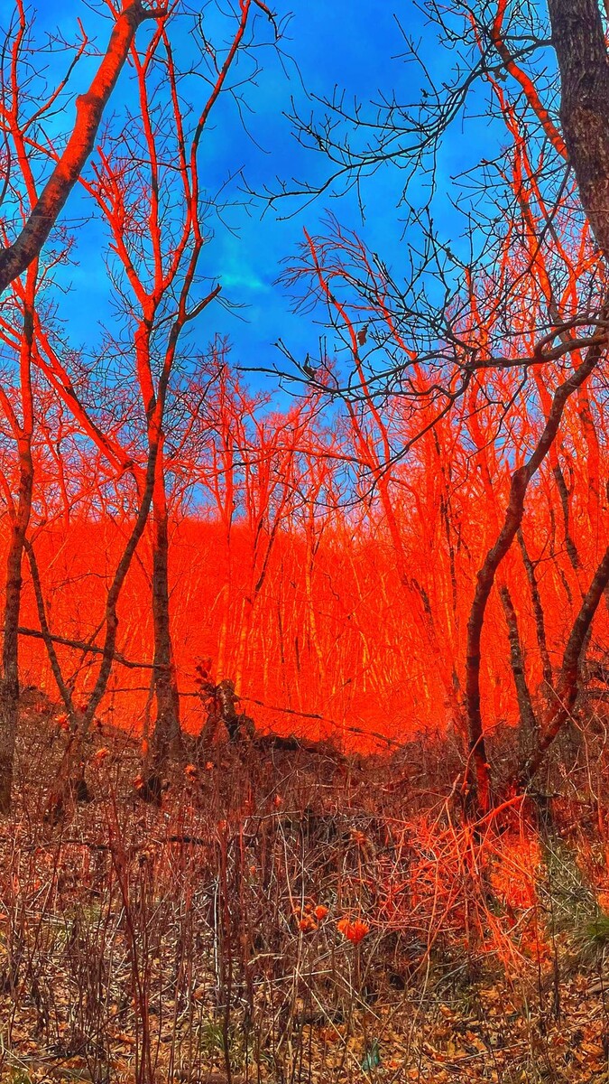 Фото Сергея Анри