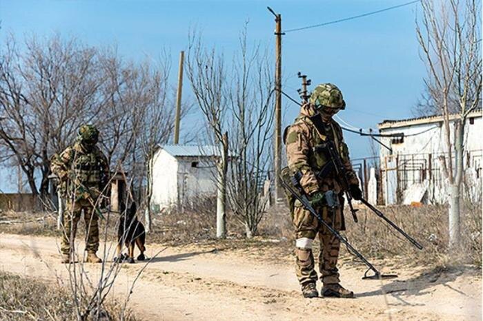 Росгвардейцы проводят комплекс мероприятий по обеспечению безопасности в зоне СВО, источник – Телеграм-канал Росгвардия