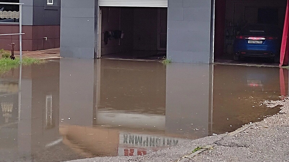     Автор: KubanPress