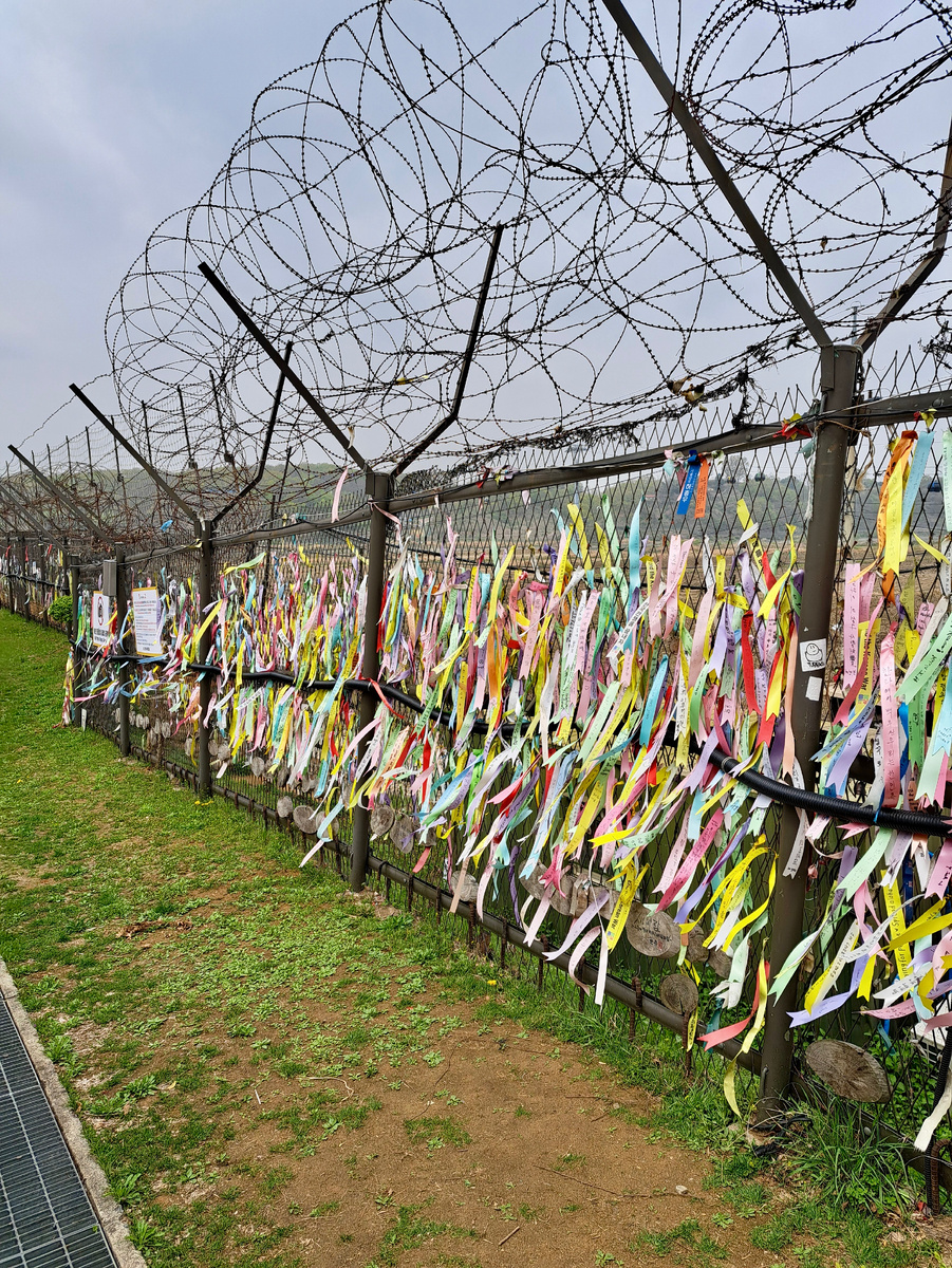 Колючая проволока и ленточки... Разделенный народ