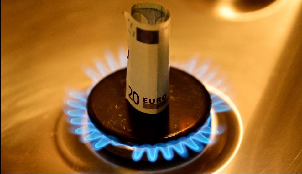    Фото: Vladimir Baranov/Globallookpress