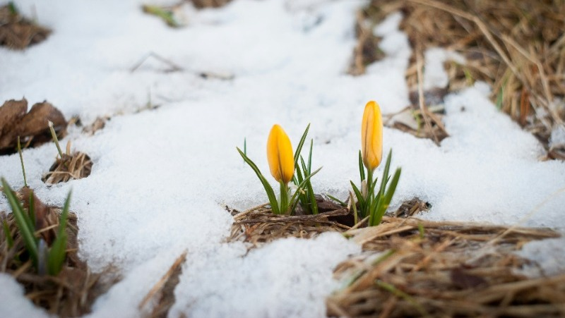 Фото: @valentinhintikka / unsplash.com