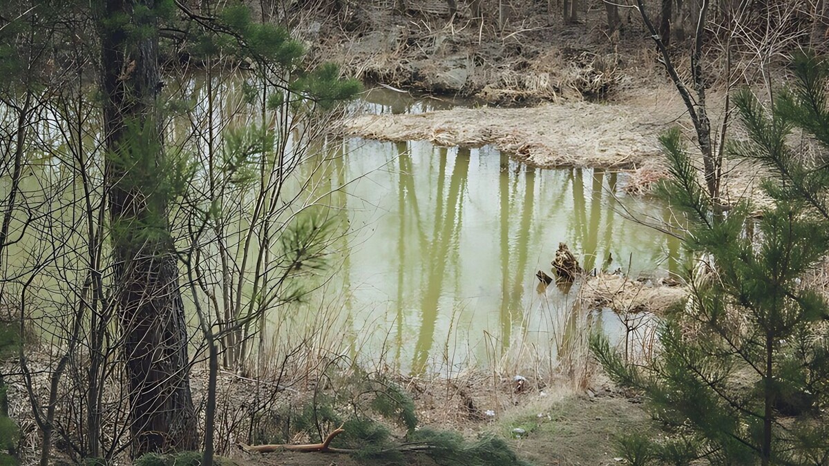     Источник: 1MI