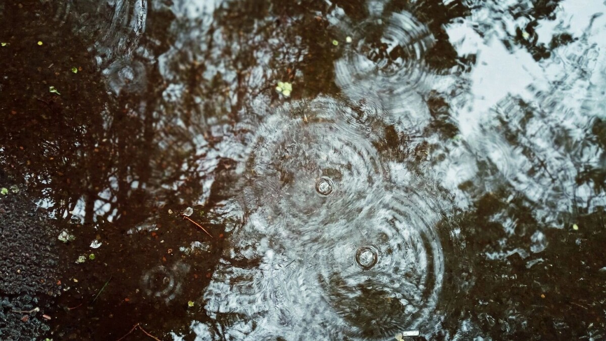     Источник: prmira.ru