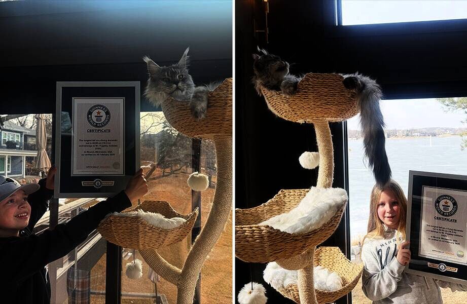    Фото: guinnessworldrecords.com