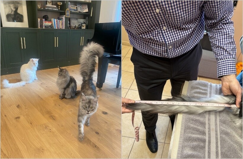    Фото: guinnessworldrecords.com