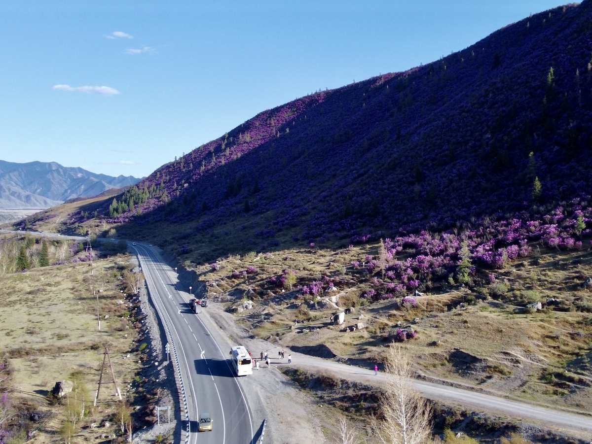 Чуйский тракт, с. Купчегень