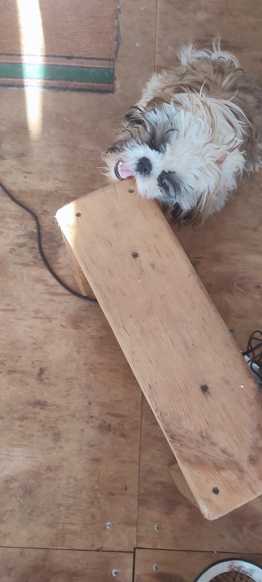 Неправильно сделали скамеечку! Надо подровнять!