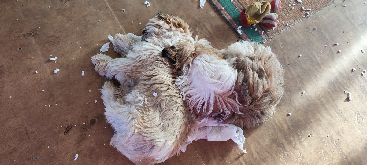 Навели порядок в деревне, и в нем же и уснули!