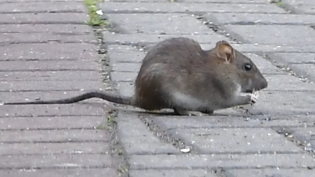    Komsomolskaya Pravda/Globallookpress