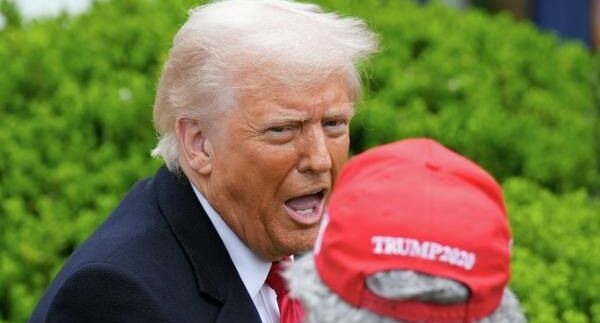    РИА «Новости»