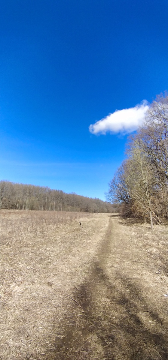 Личное фото