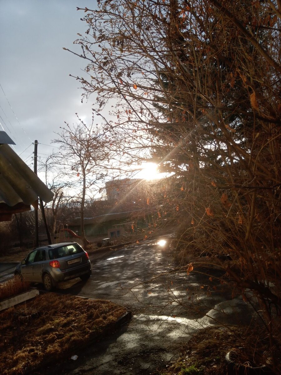 фото автора в режиме реального времени