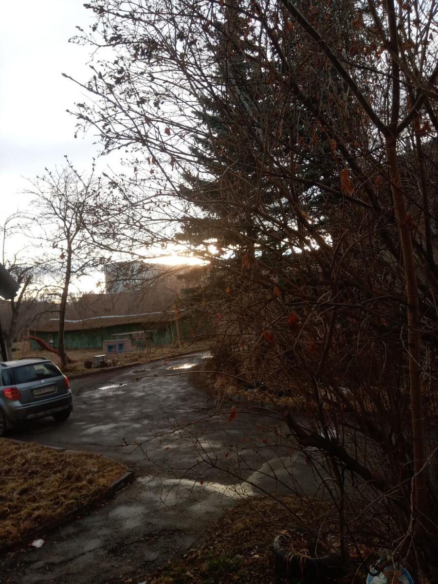 фото аввтора