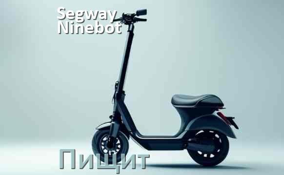 
Почему электросамокат Segway Ninebot пищит при включении и не едет