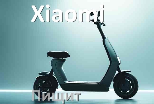 
Почему электросамокат Xiaomi пищит при включении и не едет