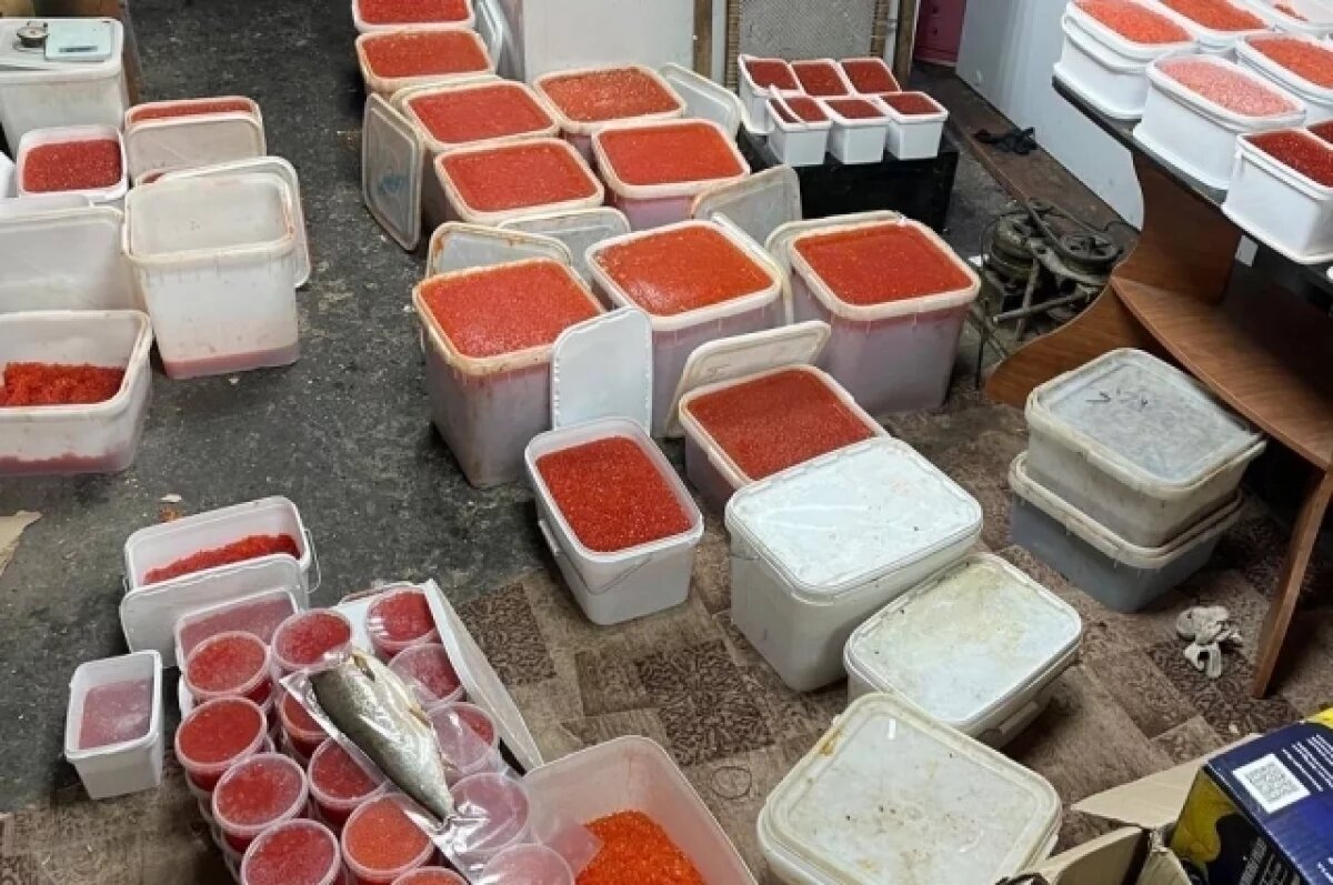    На Камчатке вступил в силу приговор икорному барыге