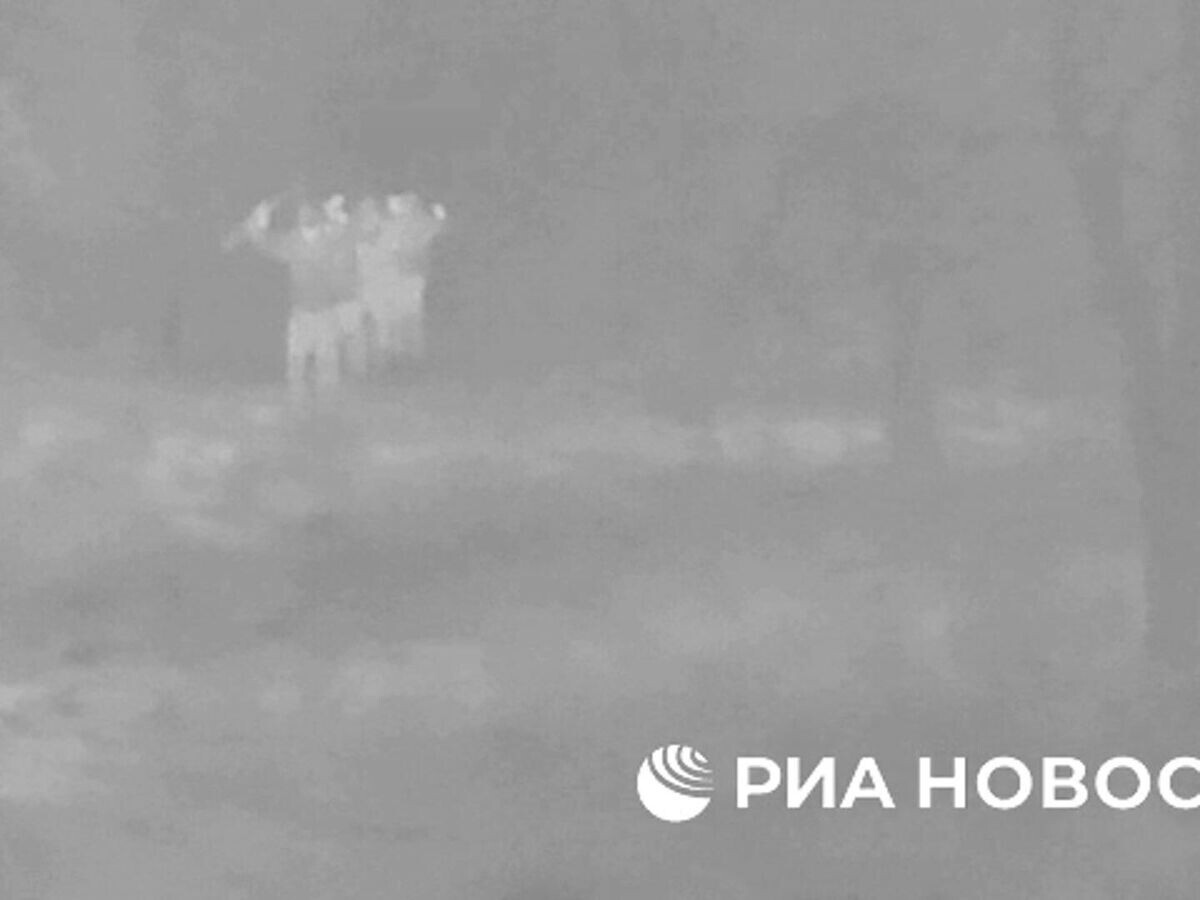    Группа боевиков ВСУ сдалась в плен в Запорожской области© РИА Новости