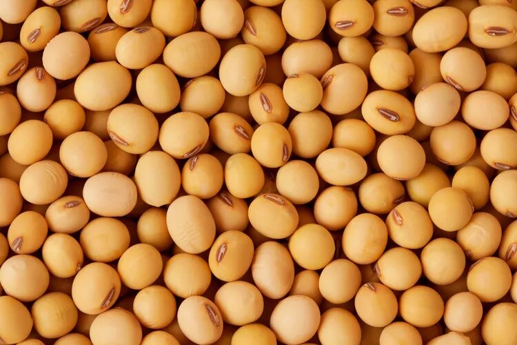    ithinksky/Getty Images