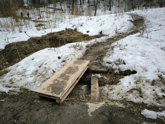    Фото:  АиФ/ Анна Ковалева