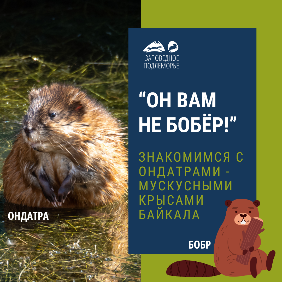 Листайте галерею, чтобы увидеть все фото!