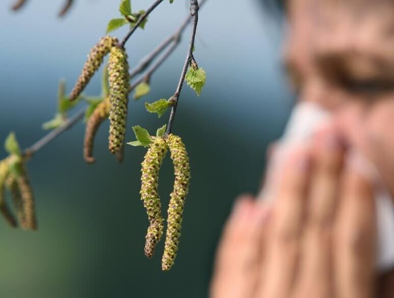 Поллиноз и перекрёстная аллергия идут рука об руку