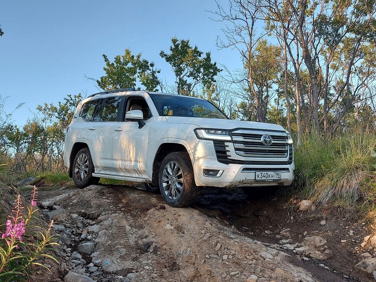 TLC 300: недавно была объявлена отзывная кампания в России - из-за вероятности отказа двигателя внедорожников.