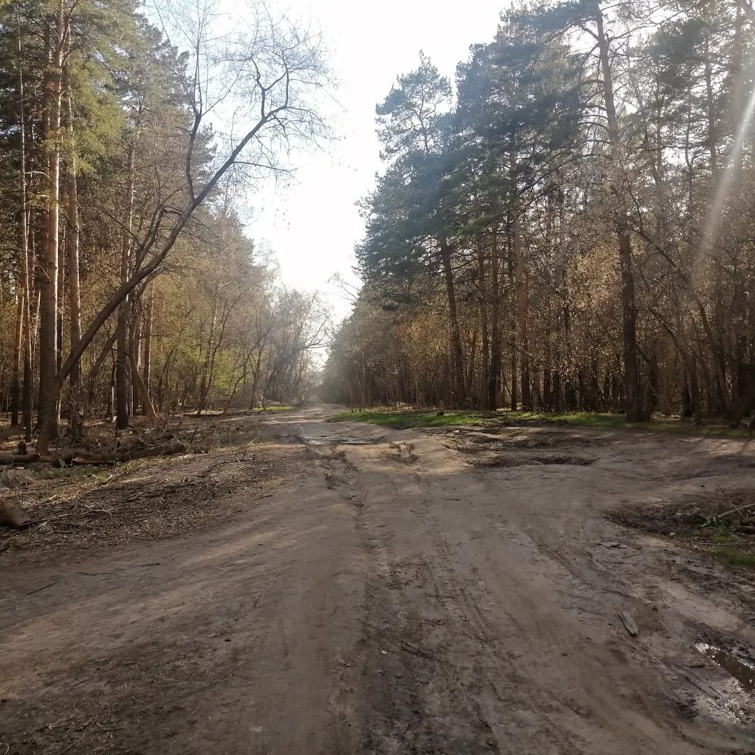 Погода будет теплой.  Фото: Фото: ФедералПресс / Екатерина Ломакина