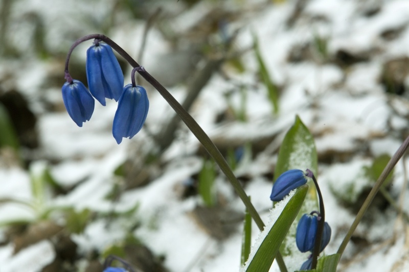    ФОТО: Nikolay Gyngazov/Global Look Press