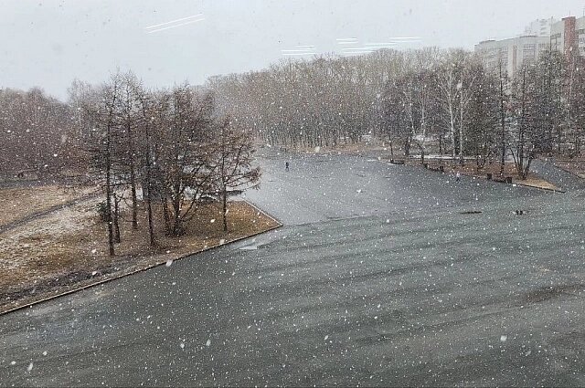    Фото: «АиФ-Урал»/ Евгений Лобанов