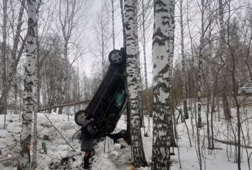   ДТП в Заринском районе. Источник: кадры видео Госавтоинспекции МО МВД "Заринский"