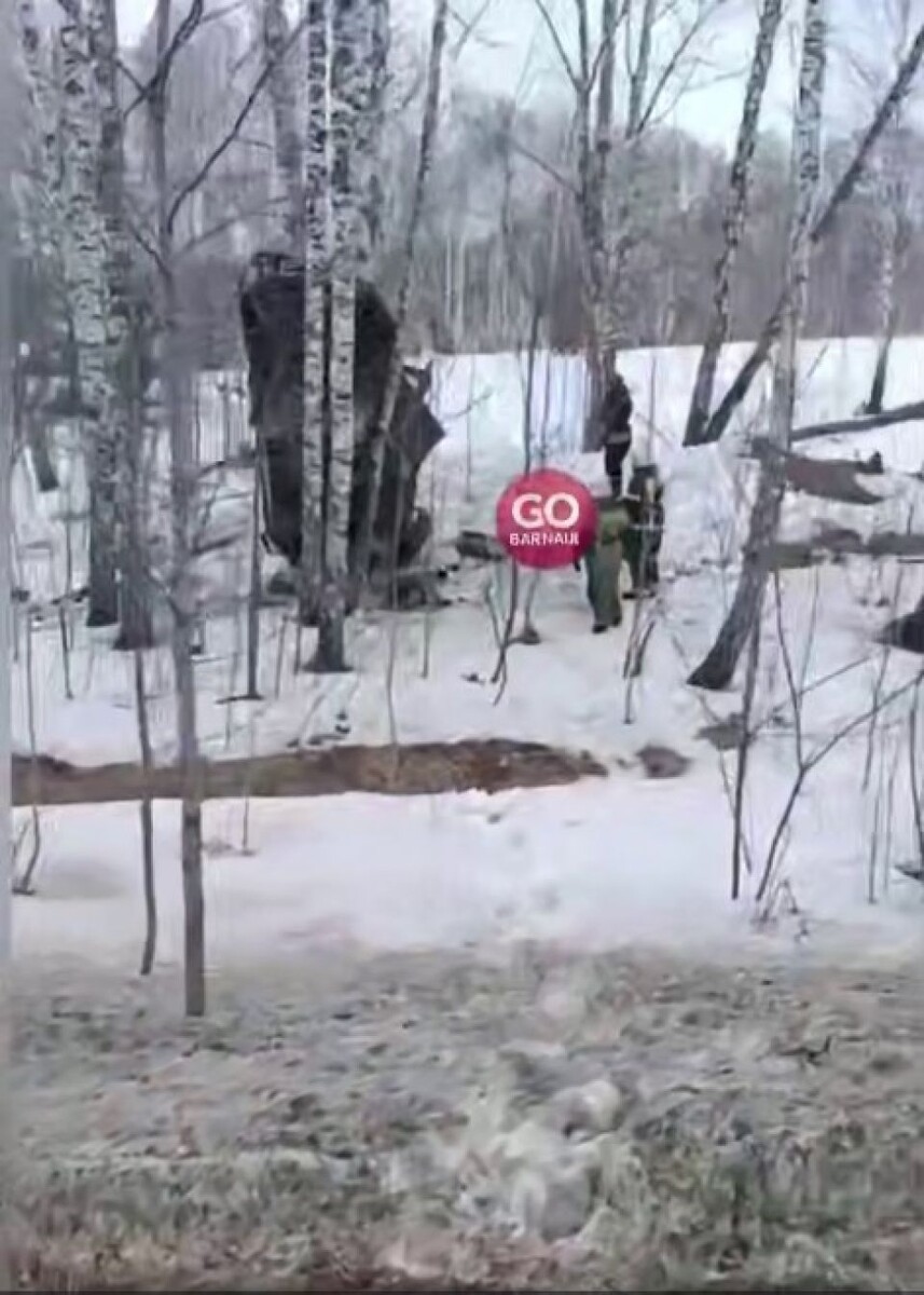    ДТП в Заринском район. Источник: t.me/go_barnaul_telegram