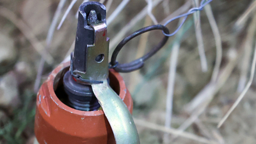    Belkin Alexey/Globallookpress