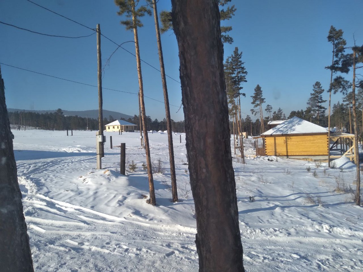 Фото автора. Вид из окна.