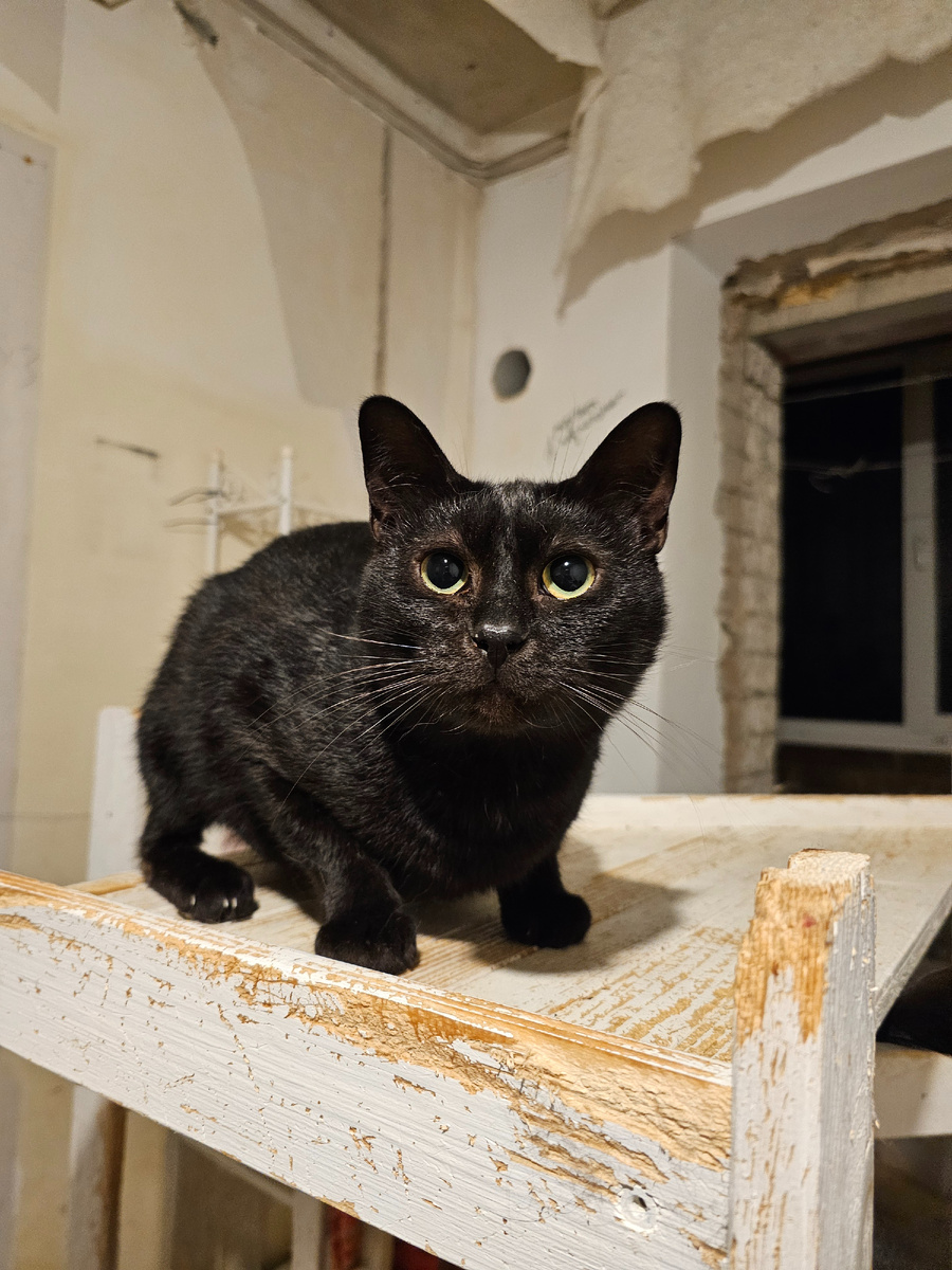 Фото автора. Фархад.