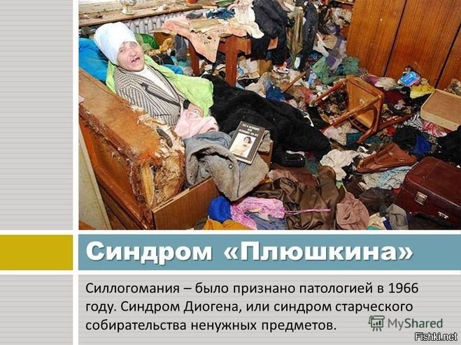 Фото из открытых источников интернета 