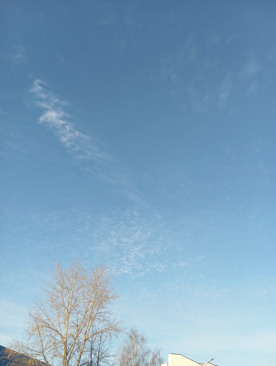 Личное фото автора канала