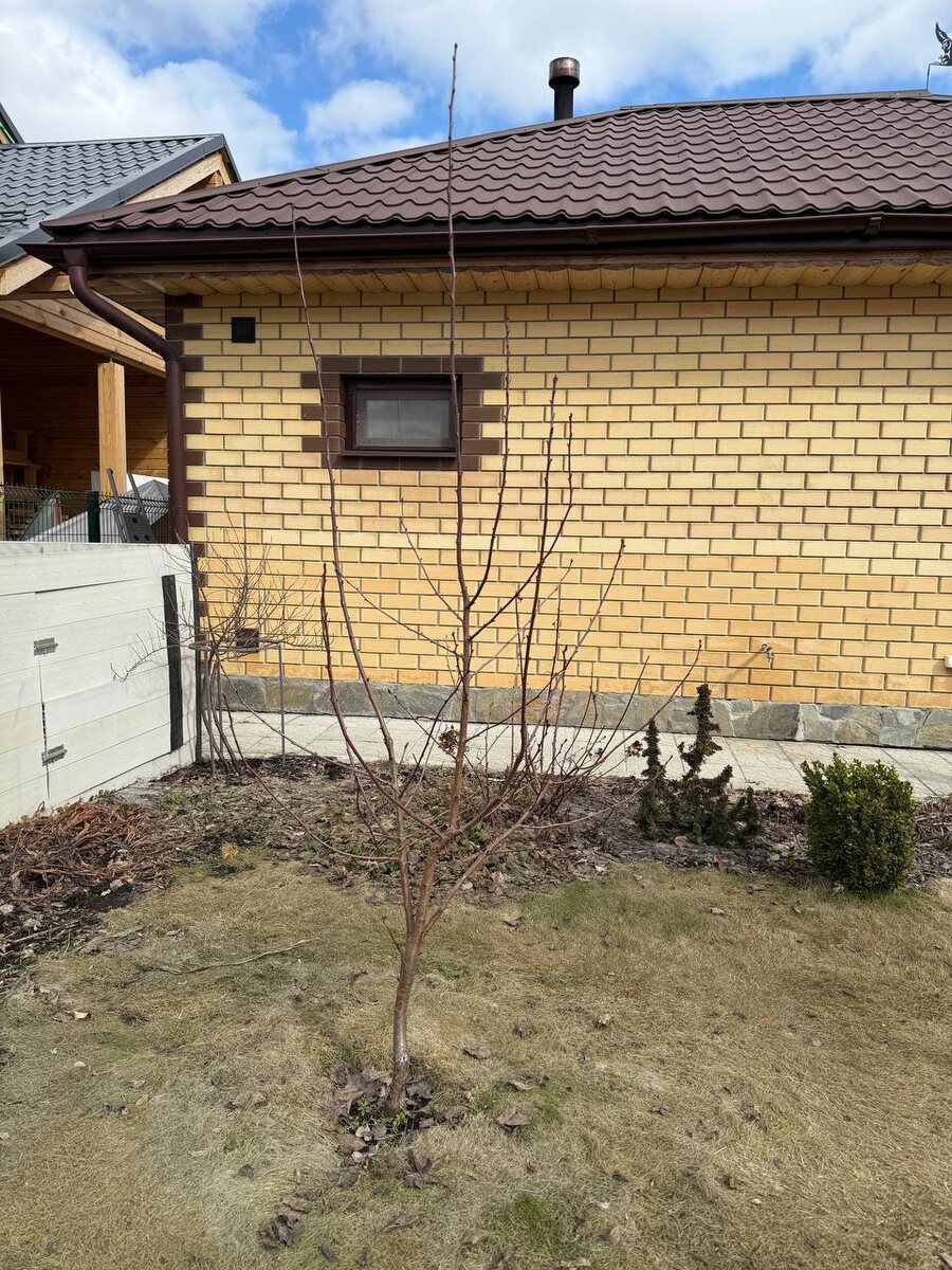 Фото автора канала Дом с кипарисами