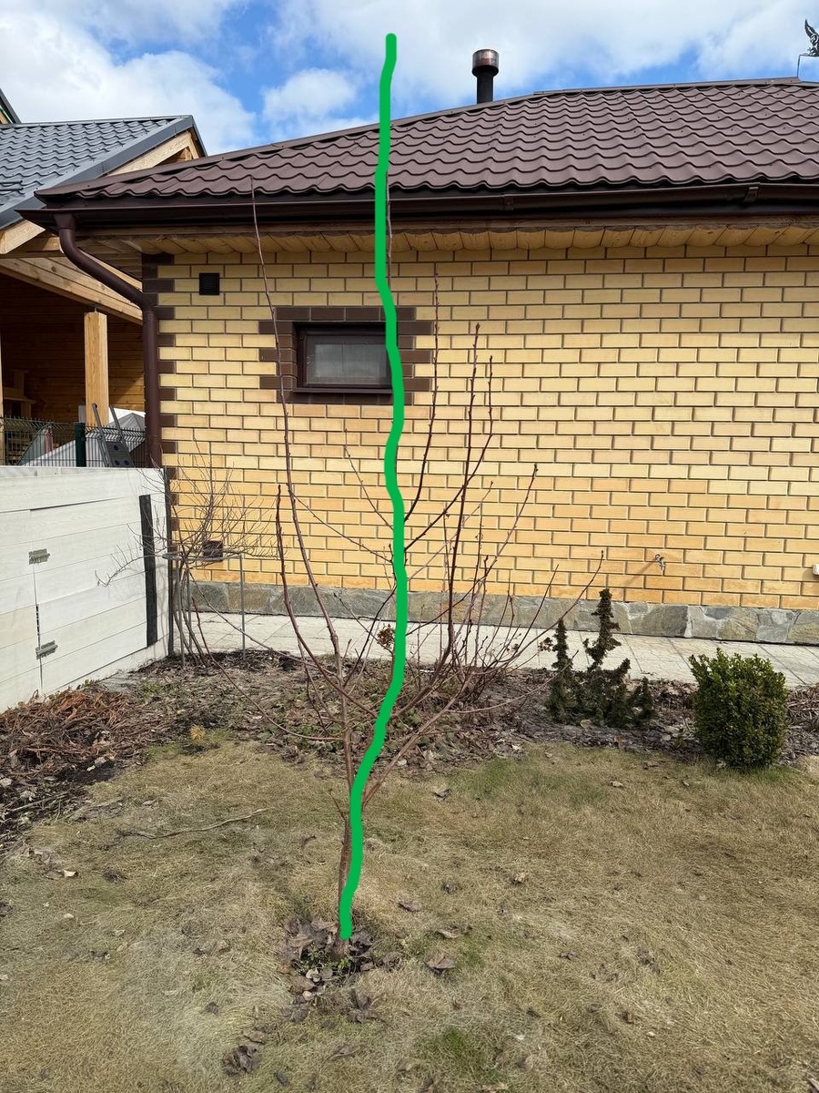 Фото автора канала Дом с кипарисами