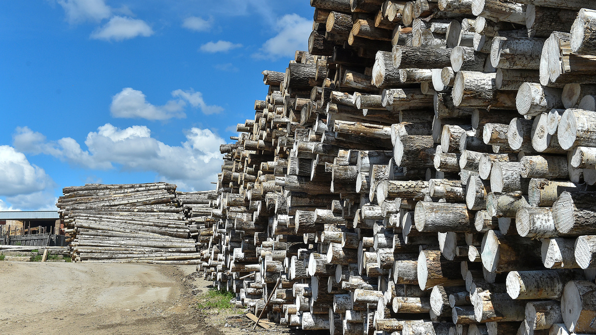    © Константин Долгановский