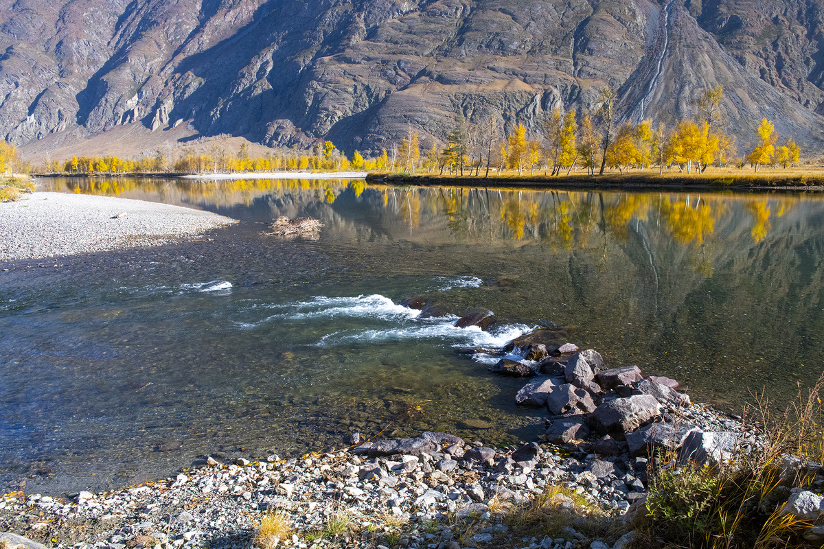 "Осень в долине Чулышмана" Алтай. 2024 год. До сих пор помню ту поездку...