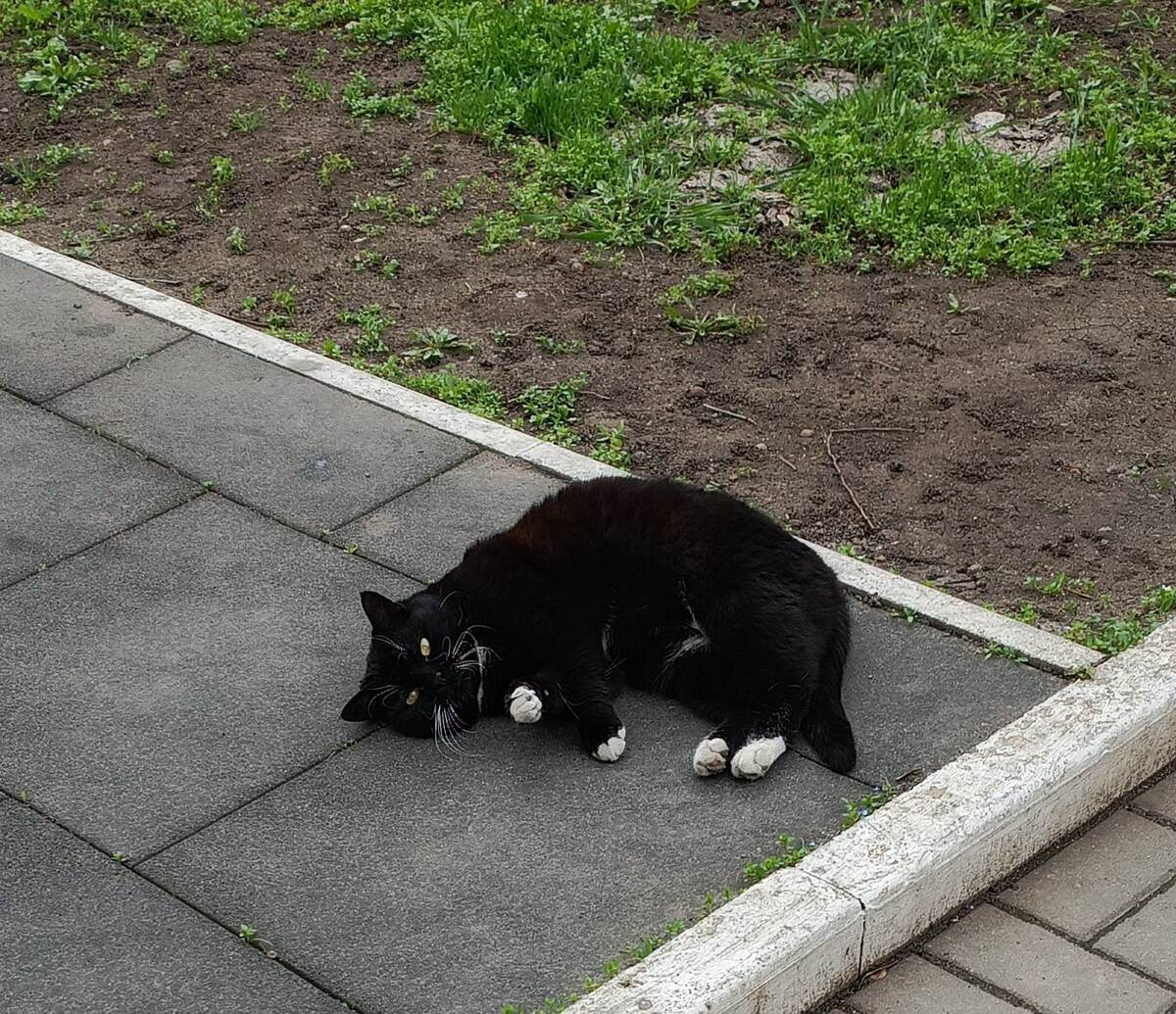 Фото автора