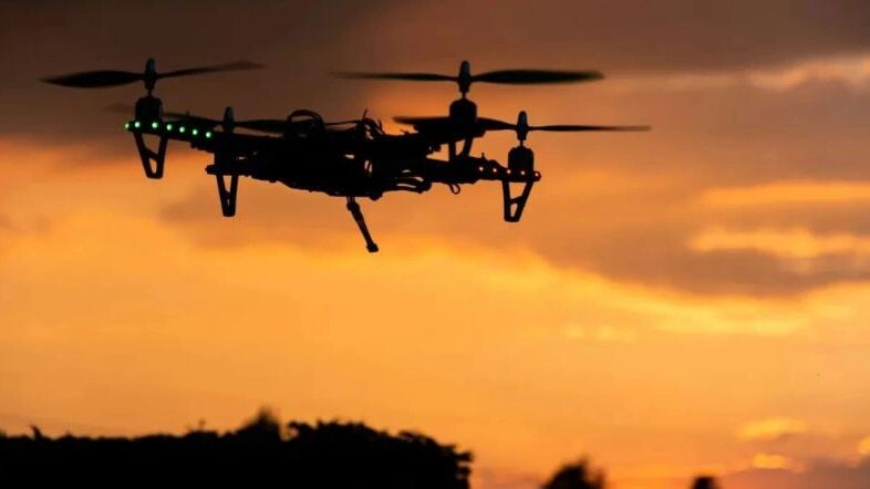    Фото: Wirestock Creators/Shutterstock/Fotodom