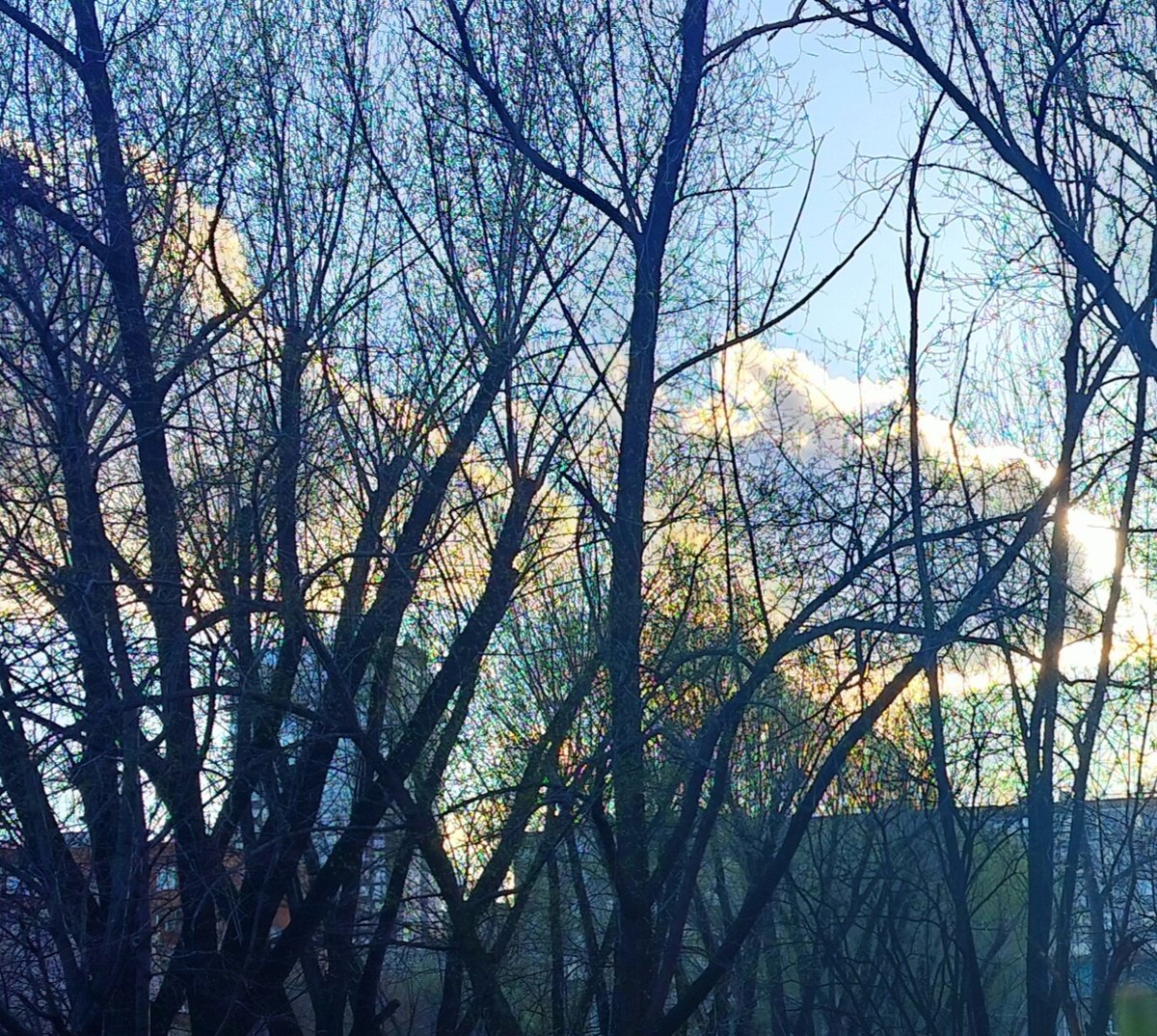 Все, что я делаю, я делаю по разумной причине, и обычно этой причиной оказываются деньги.
Сузи Паркер