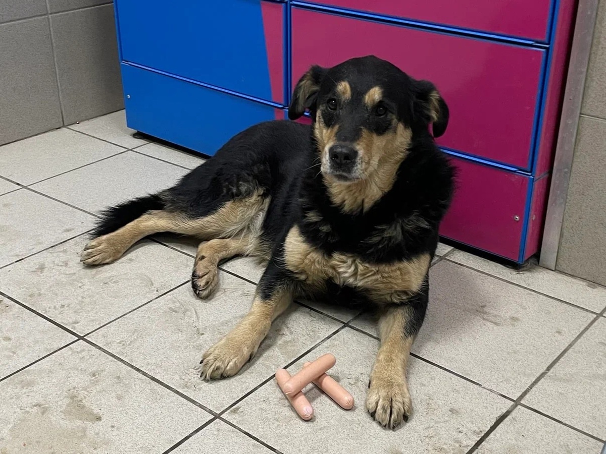    Из архива редакции