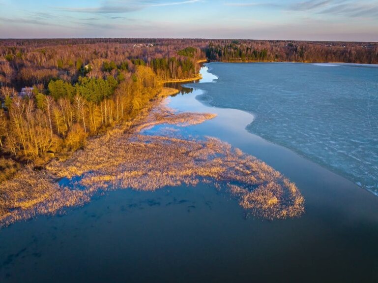    Фото: t.me/kgh_moscow Александра Горохова