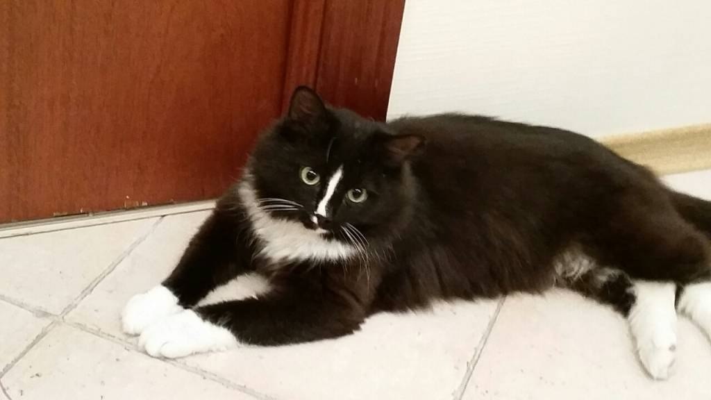 Картинки Яндекс