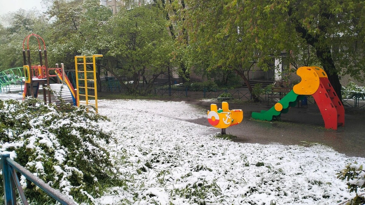     Источник: 1MI